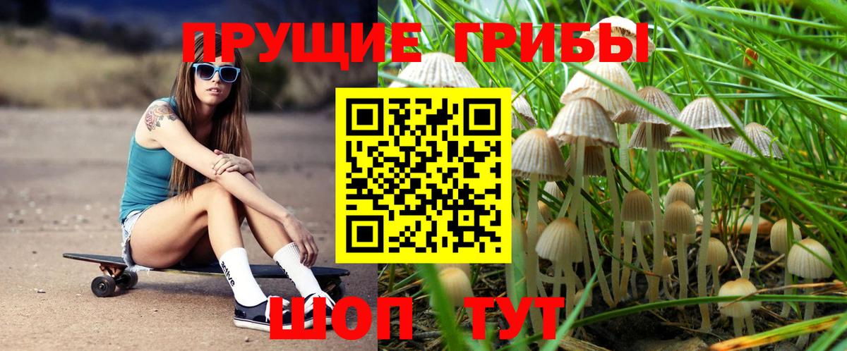 Нефтекамск  где продают наркотики  Вход с VPN  Псилоцибиновые грибы Psilocybe  Псилоцибиновые грибы ЛСД 